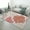 color-1, variant on Marine Coral Carpet Rug for Home Living Room Bedroom Sofa Doormat Decor Area Rug Non-slip Mat