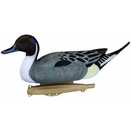Flambeau Pintail Duck Decoys, 6pk (Best Swimming Duck Decoy)
