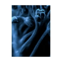 Trademark Fine Art 'Leaf VIII' Canvas Art by Incado