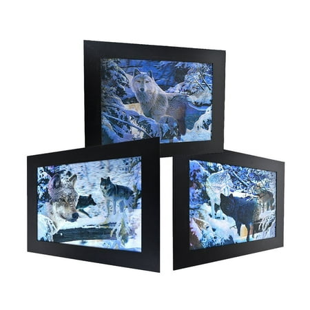 3D Lenticular Framed Animal Picture - Snow Wolf