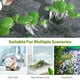 thumbnail image 3 of 36 mini lentejas de agua de plástico: Plantas artificiales flotantes para acuarios, plantas decorativas realistas para decoración de estanques y acuarios., 3 of 8