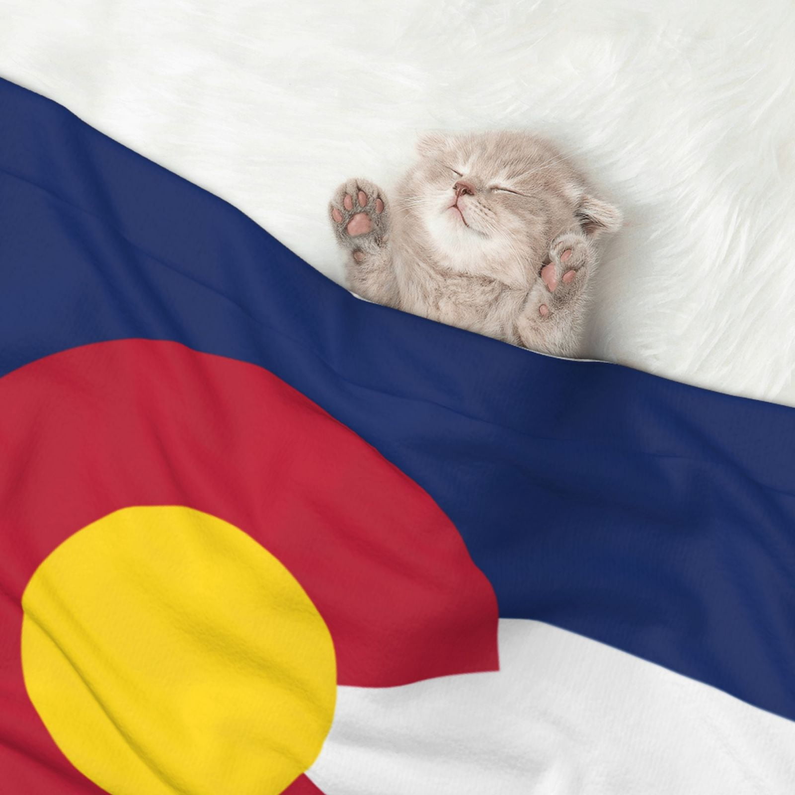 Flannel Throw Dog Blanket Flag Of Colorado Soft Warm Print Pet Blankets for Small Dog Cat Puppy