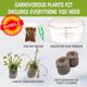 thumbnail image 4 of Set de plantas carnívoras Nature Gift Store Venus atrapamoscas y drosera, 4 of 7