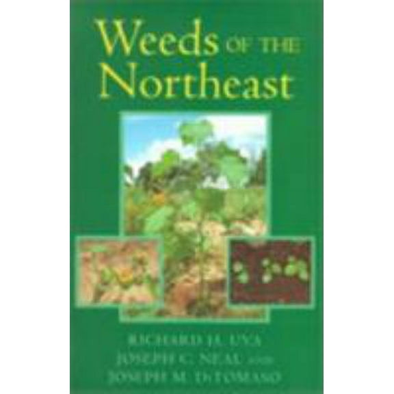 Pre-Owned Weeds of the Northeast (Paperback) 0801483344 9780801483349