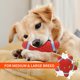 thumbnail image 3 of Juguetes para perros chirriantes, juguetes para perros chirriantes, juguetes interactivos de látex, juguetes para masticar para perros pequeños, medianos y grandes (estrella de mar roja) JM, 3 of 5