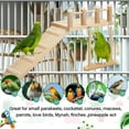 thumbnail image 3 of 10 Pcs Parrot Swing Toys & Bird Perches Platform with Ladder for Parakeet Cage Accessories, 3 of 5