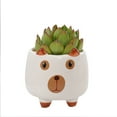 thumbnail image 1 of Flowerpots with Dish Ceramic, Animal Pot Ceramic Succulent Plant Pot Cactus Potted Planting Bonsai Pots Set, Flower Pots, 1 of 5