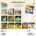 thumbnail image 2 of Golden Retrievers 2026 Carré DÉJOUER, 2 of 3