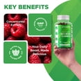 thumbnail image 5 of 2 PackVitamatic Irish Sea Moss Gummies with Bladderwrack & Burdock Root – Botanical Extract Supplement – Vegan, Non-GMO – 60 Count, 5 of 11