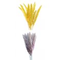 thumbnail image 1 of 15x Ramo de flores de caña de hierba de pampa seca de en hogar Decoración bohemia Amarillo + 15 Piezas Ramo de flores de caña de fragmita, 1 of 9