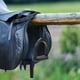 thumbnail image 4 of BRIGHTFUFU 2 piezas de alojamiento de caballos estribos no saleadores de silla accesorios de montar a caballo de silla, 4 of 7