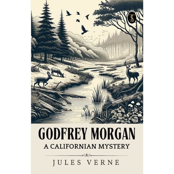 Godfrey Morgan A Californian Mystery (Paperback)