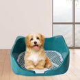 thumbnail image 4 of pitrice Dog Potty Tray with Removable Post Size 40x36x14cm Dog Training Toilet Green, 4 of 9