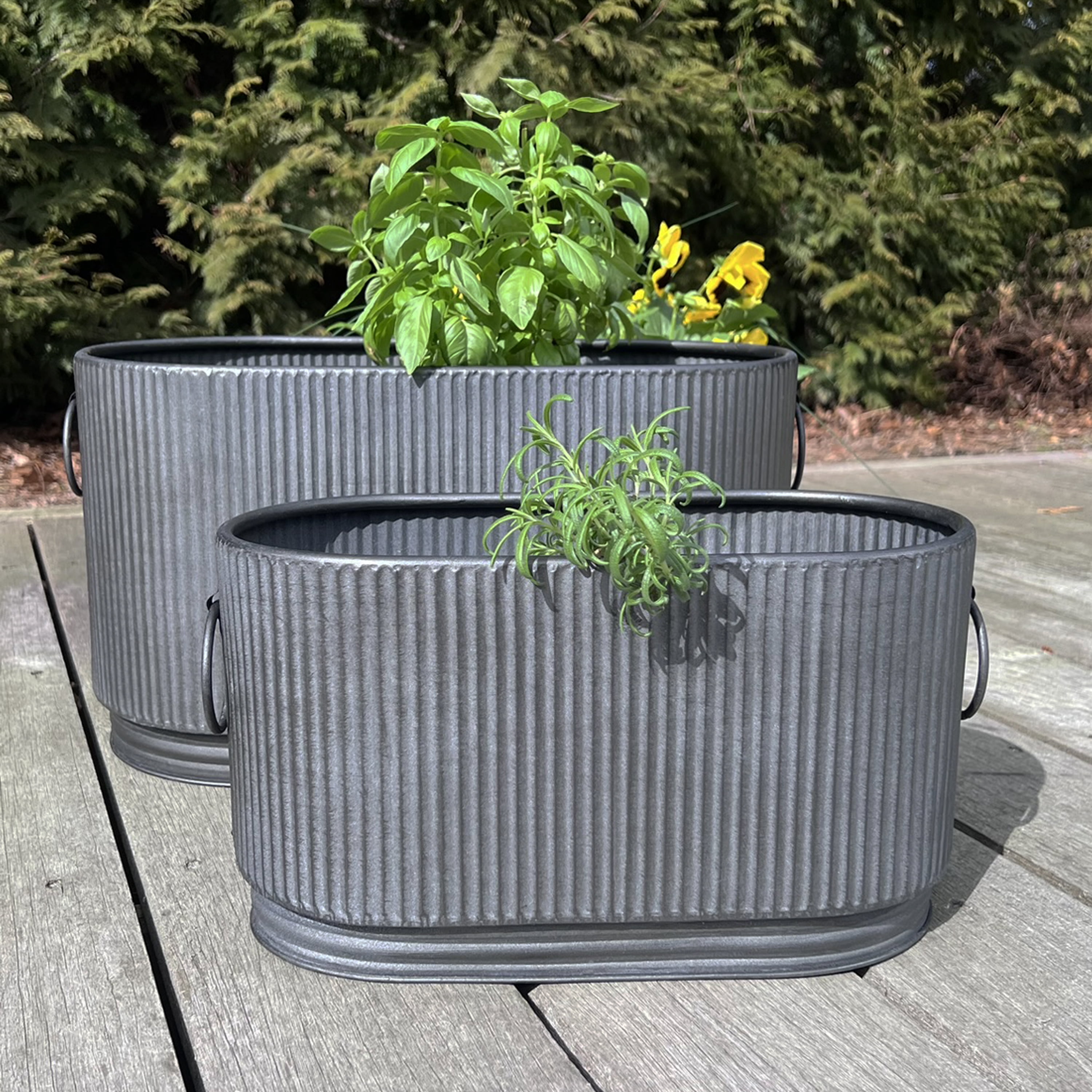 WHW Whole House Worlds French Country Style Oval Planters, Set of 2, Corrugated Bellies, Stepped Base, Rolled Rims, 14.25 and 18.5 Inches, Iron