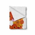 thumbnail image 2 of Letter R Soft Flannel Fleece Throw Blanket, Gerbera Daisies Abloom in R Shape Summer Time Flowers Spring Bouquet Print, Cozy Plush for Indoor and Outdoor Use, 50" x 60", Multicolor, by Ambesonne, 2 of 6