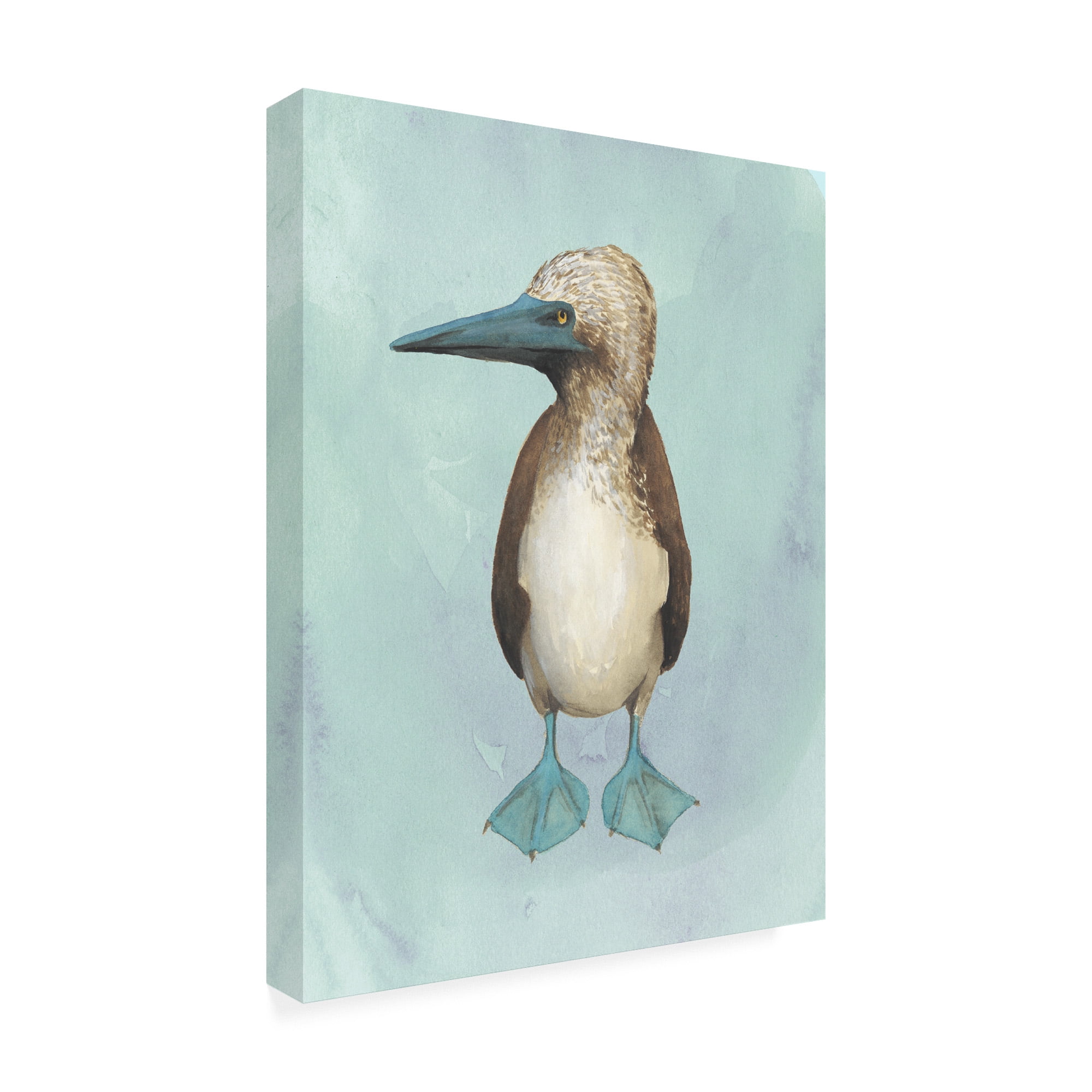 Trademark Fine Art 'Watercolor Beach Bird I' Canvas Art by Grace Popp