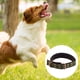 thumbnail image 3 of Collar para perros ajustable de nailon militar de doble grosor y resistente con anilla en D de metal y anilla de cierre, 3 of 5