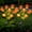 Orange, variant on Fohil Solar Garden Lights 2 Pack,Solar LED Lights Outdoor Waterproof with 7 Tulip Flowers,for Garden Yard Lawn Patio Pathway