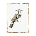 thumbnail image 2 of Wilson, Aimee 12x14 Black Ornate Wood Framed with Double Matting Museum Art Print Titled - Golden Bird I, 2 of 4