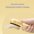 thumbnail image 6 of Rungopro 2024 New Pet Hair Cleaner Brush, Cat Grooming Brush Long or Short Hair Cats Dogs Pet Massage Brushes, Self Cleaning Slicker Comb for Kitten Removes Tangles Loose Fur, 6 of 6