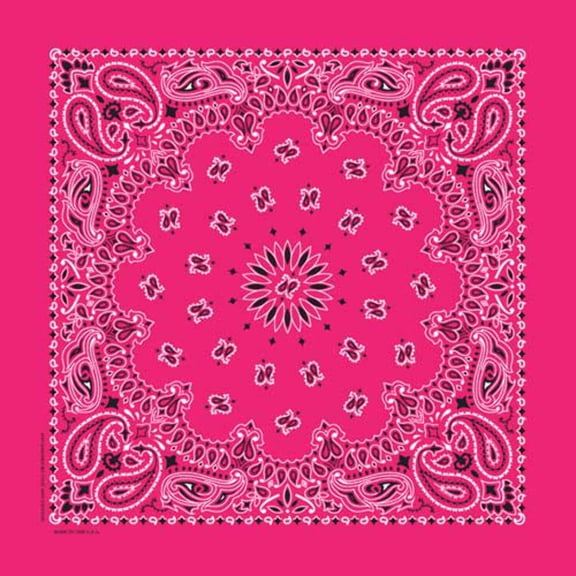 Bandanna Co Paisley, Hot Pink, 22" x 22" (3rd)