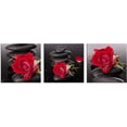 thumbnail image 2 of Red Canvas Wall Art Bedroom Wall Decor Black and White Zen Stones Spa Wall Art Rose Pictures for Living Room Kitchen Home Decorations Red Bathroom Accessories Flower Paintings Room Artwork, 2 of 6