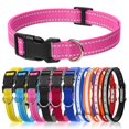 thumbnail image 2 of Pack de 3 collares ajustables de nailon para perros PetJoy de 20 a 69 cm, 2 of 9