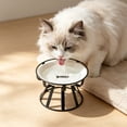 thumbnail image 5 of Elevated Ceramic Cat Bowl With Metal Stand Anti Tip Pet Food Water Bowl Cute Pattern Raised Feeding Dish For Small Medium Cats Dogs Prevent Neck Strain Indoor Pet Feeder, 5 of 6