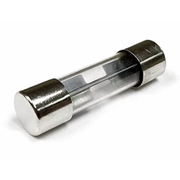 10 AMP AGU GLASS FUSE- 10PK