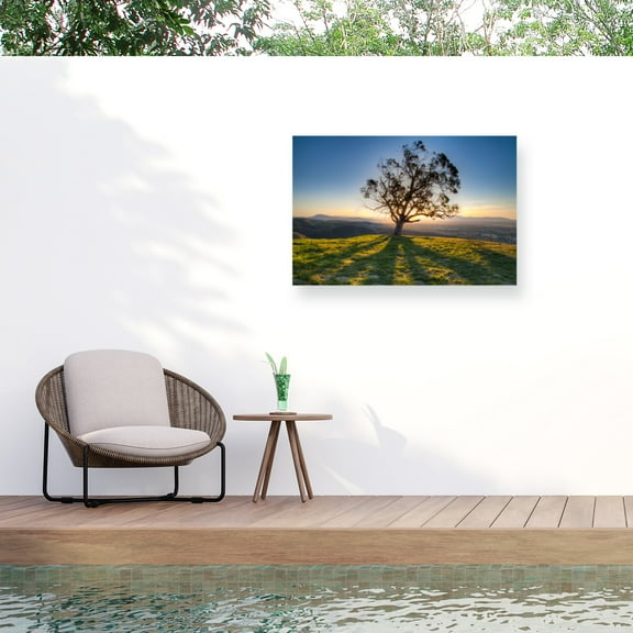 Chris Moyer 'Tree Shadows' Outdoor Canvas 22x32
