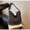 black, variant on Crossbody Bag Shoulder Bag Hobo Bag for Women with Sewing Line Detail, Denim Material, Large Capacity, Adjustable Strap, Multiple Compartments, Casual Style for Daily Commute, Office, Shopping, and W