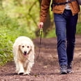 thumbnail image 4 of Correa retráctil para perros de 5 metros con asa cómoda, correa flexible para perros pequeños, medianos y grandes, correa retráctil para paseos y entrenamiento, color amarillo., 4 of 4