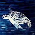 thumbnail image 2 of Great Art Now Swim Along I by Julie DeRice, Framed Wall Art, 14W x 14H, 2 of 3