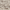 Beige/Light Grey, variant on SAFAVIEH Retro Paulino Abstract Area Rug, Beige/Light Grey, 6' x 6' Square