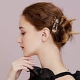 thumbnail image 4 of Juego de pinzas para el cabello de resina, pinzas, accesorios para el cabello, pasadores para el cabello con estampado de leopardo para mujeres, regalos para mujeres y niñas, 4 of 5