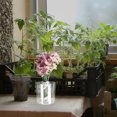 thumbnail image 2 of Cylinder Shaped Transparent Flower Holder Glass Vase Flower Arranging Container, 2 of 6
