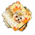 thumbnail image 2 of Morkie Fall Foam Coaster Set of 4 Yellow, 2 of 3