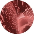 thumbnail image 1 of Ahgly Company Indoor Square Patterned Cranberry Red Area Rugs, 3' Square, 1 of 6