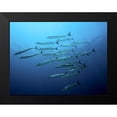 thumbnail image 2 of Jager, Henry 24x19 Black Modern Framed Museum Art Print Titled - Barracudas, 2 of 5