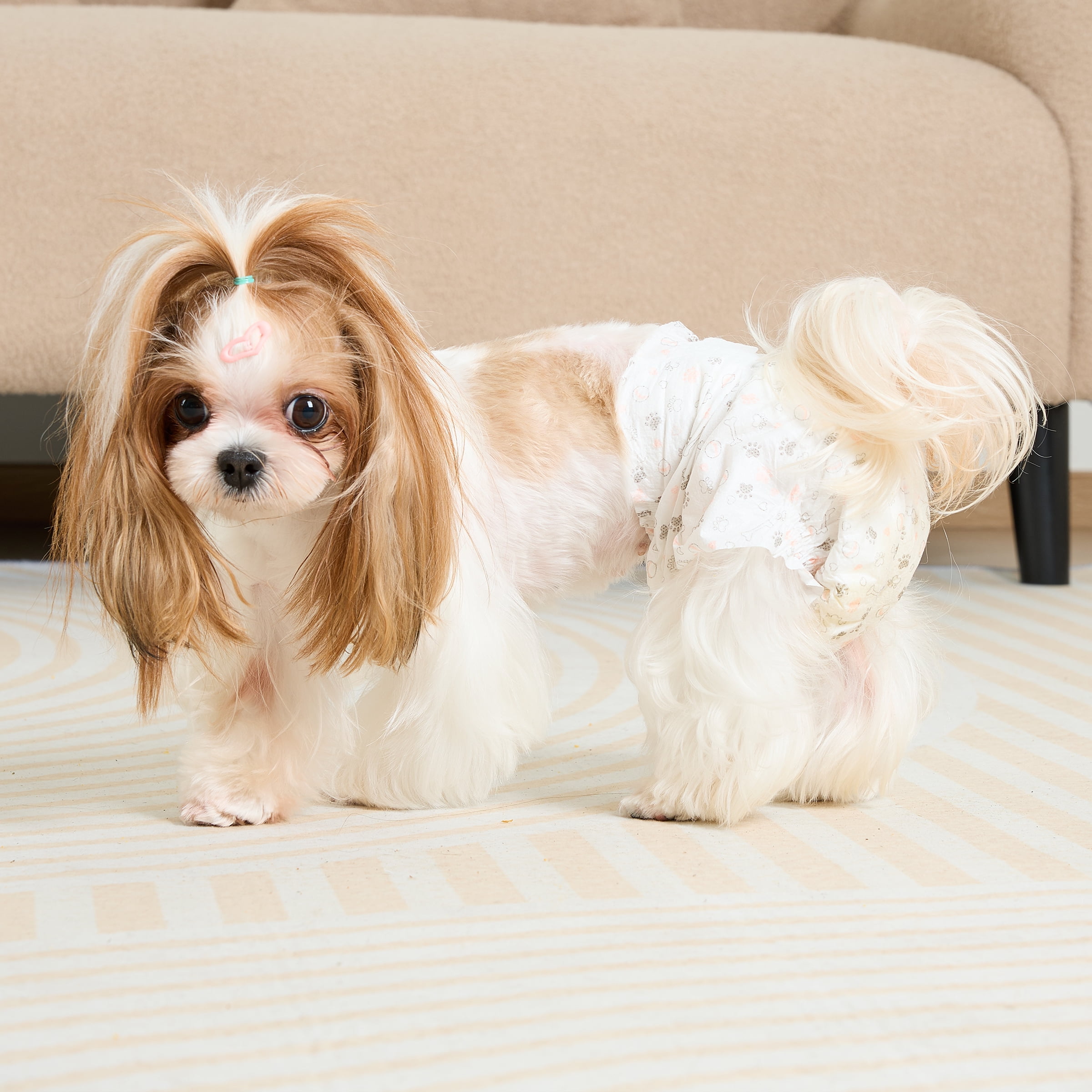 (12 pack) Vibrant Life Disposable Dog Diapers for Female Dogs, S, 12 Count
