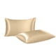 thumbnail image 2 of Paquete de 2 fundas de almohada para cuerpo de satén refrescante | Estuche largo de terciopelo suave y transpirable para durmientes calientes y sudores nocturnos | Comodidad para todas las, 2 of 6