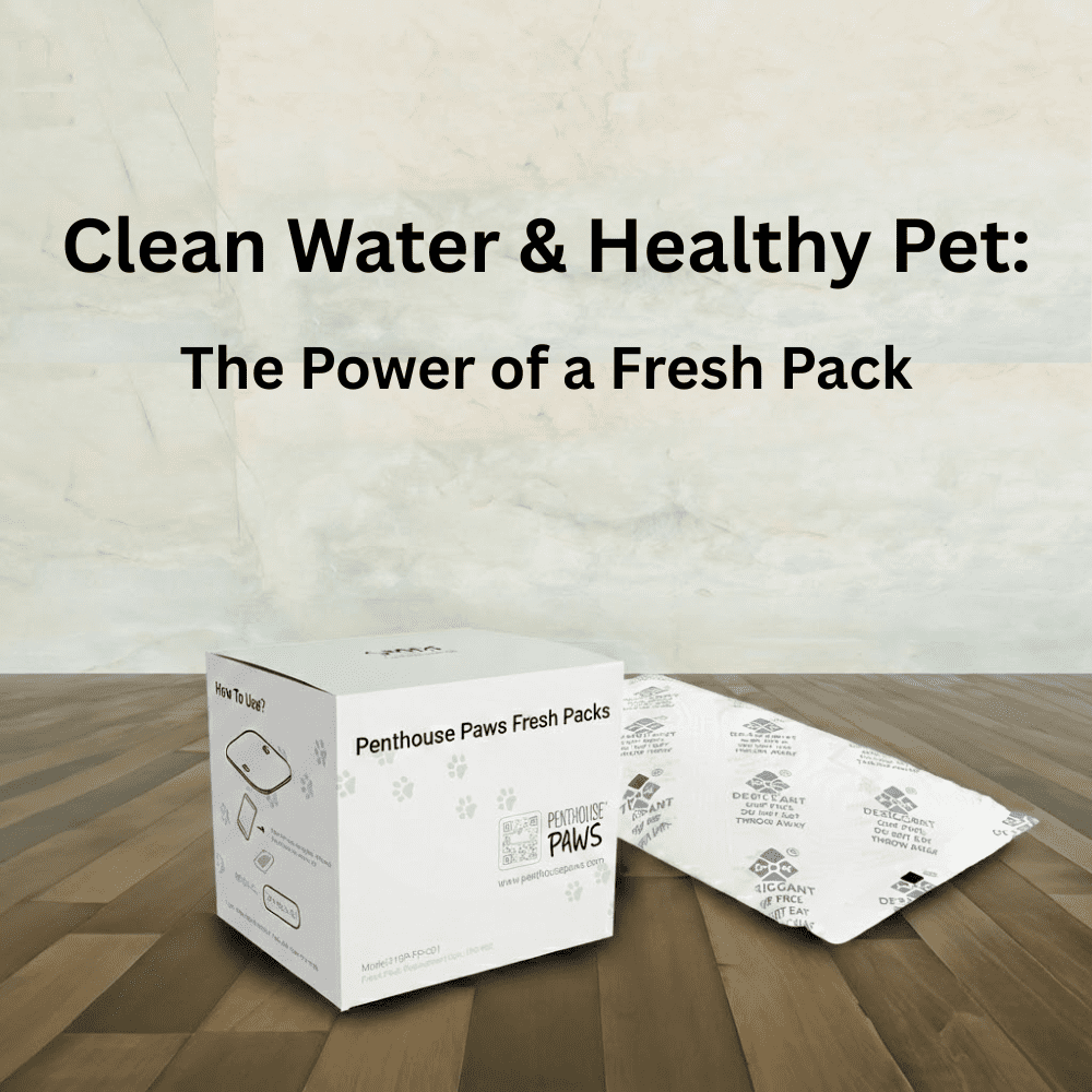 Penthouse Paws Fresh Packs for Smart Maxx HD Feeder, Desiccant Moisture-Absorbing Food Preserver, Keeps Kibble Fresh & Crisp, 6-Pack, for Cat & Dog