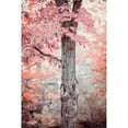 thumbnail image 2 of Great Art Now Pink and Coral Maple Tree by Brooke T. Ryan, Framed Wall Art, 21.5W x 28.25H, 2 of 2