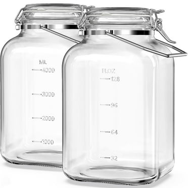 2 Pack 1.5 gal Syntic Glass Food Storage Containers with Hinge Lids and Handle, Handle Jars for Pantry 192 oz Clear