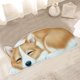 thumbnail image 5 of Alfombras de baño, alfombra 3D con temática de perro, felpudo de bienvenida de 87 x 40 cm, antideslizante, para verano, divertidas y novedosas, para decoración de interiores y exteriores., 5 of 6