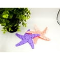 thumbnail image 6 of Clever Contraption Friendly Starfish Fidget or Coaster | 3D Printed PLA, 6 of 9