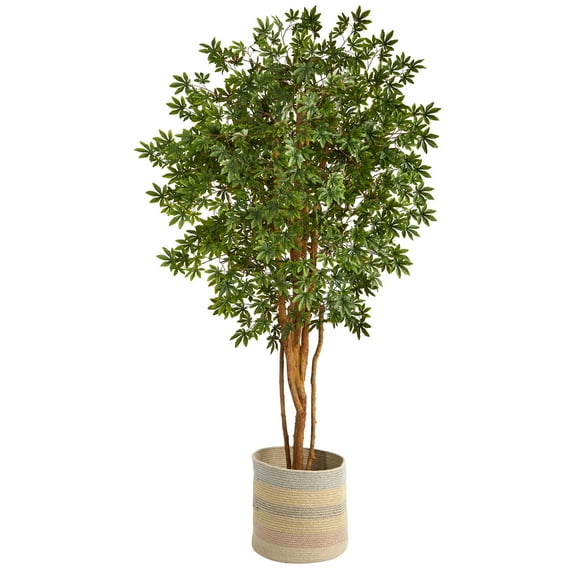Nearly Natural 6' Artificial Maple Artificial Trees in Cotton Planter