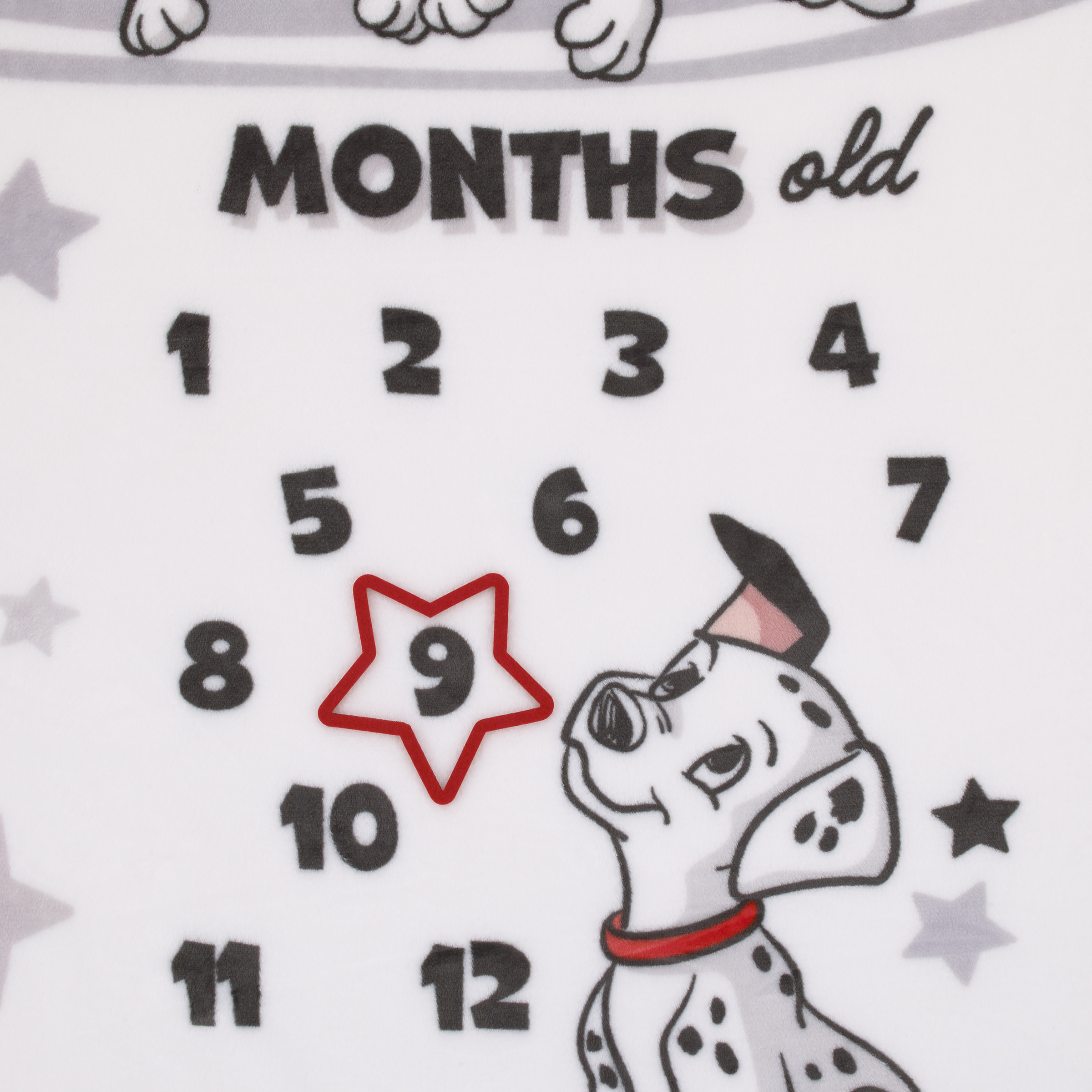 Disney 101 Dalmatians Photo Op Milestone Baby Blanket
