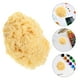 thumbnail image 4 of Esponja marina natural con absorción de agua, ideal para pintar a mano, para niños y profesionales, ideal para acuarela y pintura con texturas, ideal para proyectos de manualidades, de 5 a 6,35 cm., 4 of 7