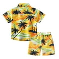 thumbnail image 4 of Hiijoy Toddler Boys Hawaii Beach Outfits Short Sleeve Button-Down Shirt Shorts Set, Sizes 1-2Y, 4 of 4